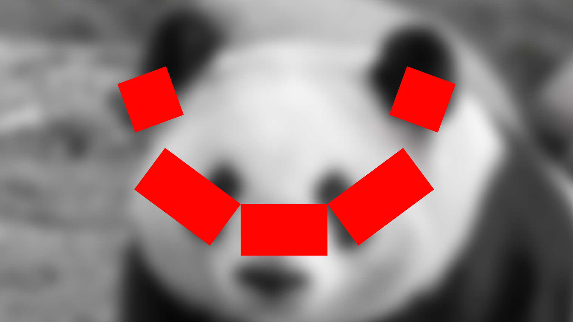 grumpy panda signature with real panda on background